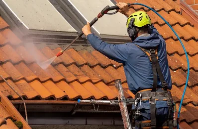 Démoussage et hydrofuge de toiture à Bligny